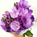 연미동산 이미지