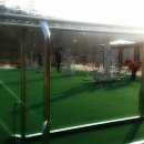 에코랜드수영장 축구장 이미지