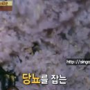 상봉동-023 이미지