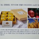 오월의아침 이미지