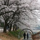 은파호수공원 9-9 이미지