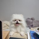 꽃개미용실 이미지