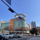 코사마트울산점달동 | 울산달동미용실, 가성비미용실| 에리카헤어 롯데마트울산점 염색후기