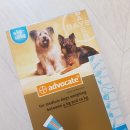 푸른나무아래약국 이미지