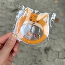 엠디19 | 데이식스 팬미팅 DAY6 4TH FANMEETING_PIER 10: All My Days MD 엠디 대기 후기 및 리뷰