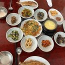 도니친구미나리