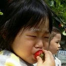 군산성심유치원 이미지