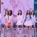 공주-14 이미지