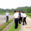 정헌관