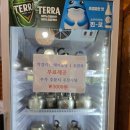 황금주전자 | 풍경이 좋은 곳! 파주헤이리맛집! 막걸리가 제공되는 황금코다리에서 코다리시래기조림 내돈내산 후기~