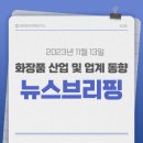 한국애경컨벤션 | 화장품산업, 업계동향 기사 스크랩_1113