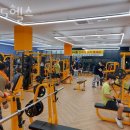 365헬스 이미지