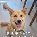 펫온비즈 주식회사 | [반려동물 장례식장] 친구들을 배웅하는 펫브릿지의 상주견 춘길이를 소개합니다
