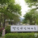 돌배야영장제2야영장 이미지
