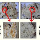 뿌리한약국 이미지