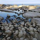 갈매기횟집 이미지