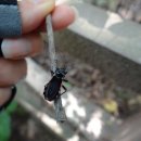 아이원어린이집 이미지