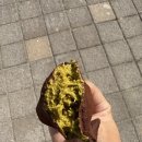 교육로 10 | 무안 오룡 카페 레브케이크샵 두쫀쿠 후기｜현장구매 후기 직접 사 먹어본 솔직 리뷰