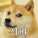 그리스텔 | 2023 아이언맨 구례 IRONMAN GURYE 레이스 전체 리뷰