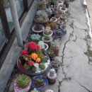 연성농장 이미지