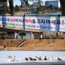 중원오리 네이버블로그
