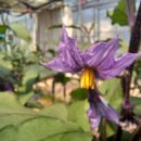 용화농장 이미지