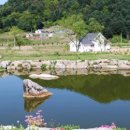 초롱이 밥상 이미지