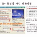 flv 동영상 파일 변환하여 파워포인트에 넣기 이미지