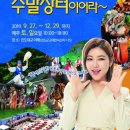진도울돌목주말장터 미디어전남