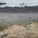 해비치목장 이미지