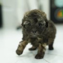 협진농장 이미지