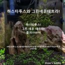 테트라수족관