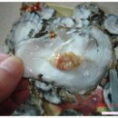 석화목장 이미지