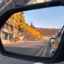 세븐일레븐 오산연수원점 | 필리핀 보홀여행