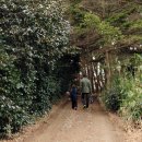 동백꽃마을 이미지