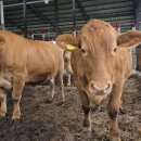 동원가든 이미지