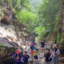 덕산기에서 | [덕산기 계곡 트레킹] 여름 물놀이 복장 및 8월 후기