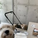딥딥딥 - 동구 팔공로32길 21 | 딥딥딥