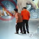 금주어린이집 이미지