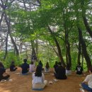 세종시정신건강복지센터 이미지