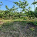 행복나무공인중개사사무소 이미지