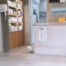 용호동물병원 이미지