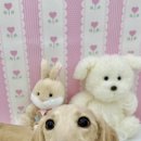 아멍띠에 이미지