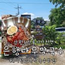 은행나무로 | 경포대 근처 강릉 줄서서 먹는 막국수맛집 은행나무막국수 주말 웨이팅 후기