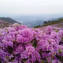 독이야기