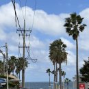 궷물오름 | 제주여행 2일차🍊 교래퐁낭, 카페담소요, 981파크제주, 궷물오름, 애월 훈도 코스 &amp; 후기✨