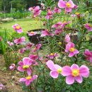 강변펜션 이미지