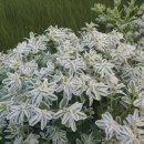 형산강자전거길 이미지