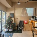 애견카페 펍 곰곰 | AMU 제주공항근처 애견동반 감성 카페 겸 펍 방문후기