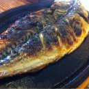 촌놈애견샵 이미지